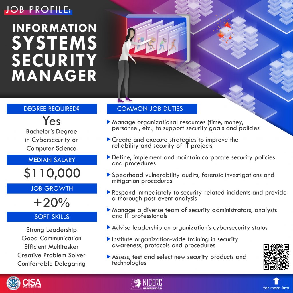Information Systems Security Manager