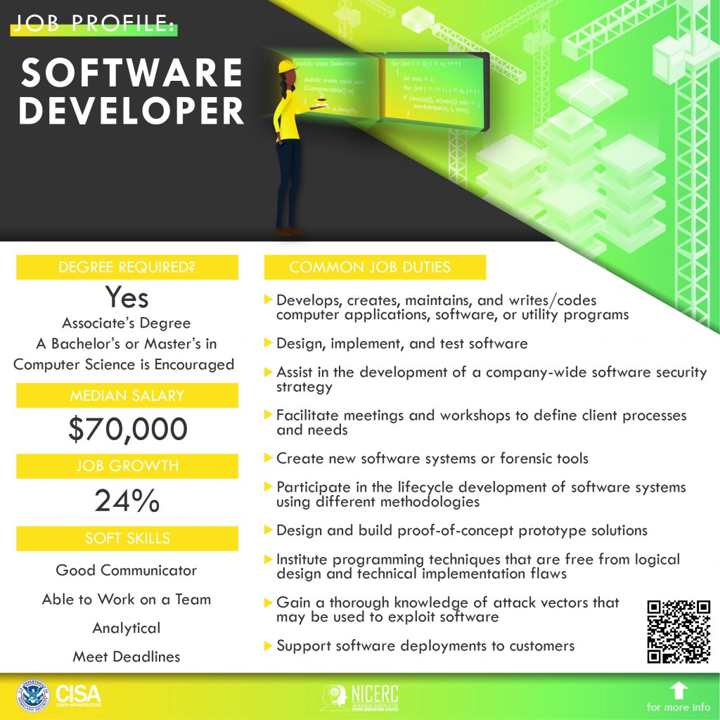 Software Developer