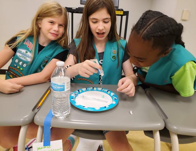 Girl Scouts Cyber Badge