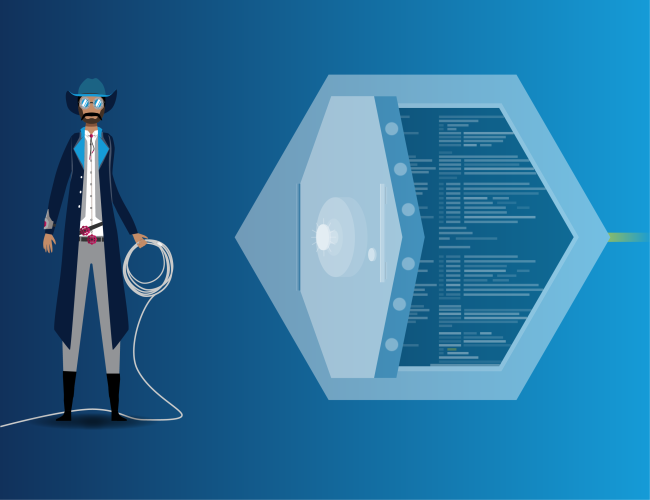 Information Security Analyst Web