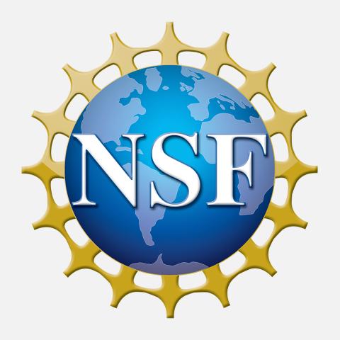 national science foundation logo with gray background